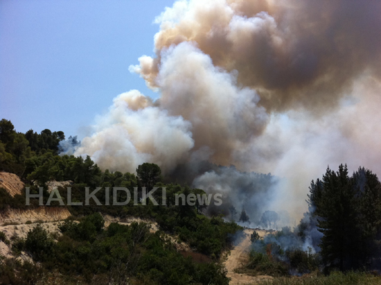 Σοκαριστικές φωτογραφίες από την πυρκαγιά στο Άγιο Όρος [ΔΕΤΕ ΤΙΣ] - Φωτογραφία 3