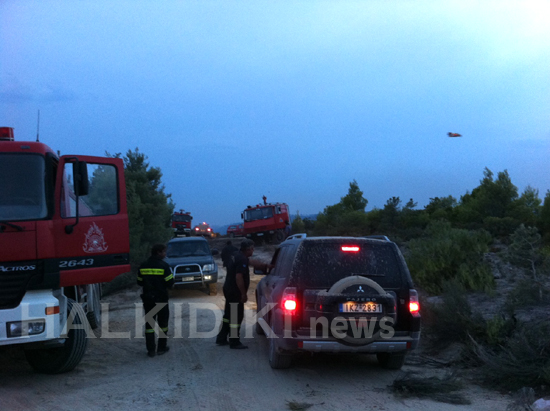 Σοκαριστικές φωτογραφίες από την πυρκαγιά στο Άγιο Όρος [ΔΕΤΕ ΤΙΣ] - Φωτογραφία 7