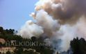 Σοκαριστικές φωτογραφίες από την πυρκαγιά στο Άγιο Όρος [ΔΕΤΕ ΤΙΣ] - Φωτογραφία 3