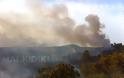 Σοκαριστικές φωτογραφίες από την πυρκαγιά στο Άγιο Όρος [ΔΕΤΕ ΤΙΣ] - Φωτογραφία 5