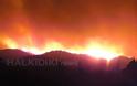 Σοκαριστικές φωτογραφίες από την πυρκαγιά στο Άγιο Όρος [ΔΕΤΕ ΤΙΣ] - Φωτογραφία 8