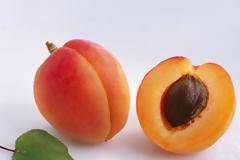 Φυλή με ανοσία στον καρκίνο! Διαβάστε το προσεκτικά!