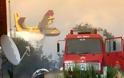 Γιγαντιαία η κινητοποίηση των Αρχών για την κατάσβεση της πυρκαγιάς στο Άγιο Όρος