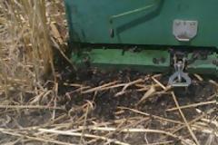 Καταστροφή μελισσοσμηνών στον θεσσαλικό κάμπο