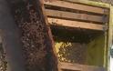 Καταστροφή μελισσοσμηνών στον θεσσαλικό κάμπο - Φωτογραφία 4
