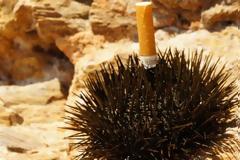 Όλα τα μικρά πράγματα που μπορούν να σε χαλάσουν στις διακοπές