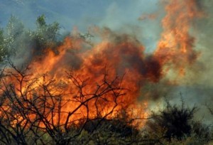 Υπό μερικό έλεγχο τέθηκε η πυρκαγιά στη Λεμεσό - Φωτογραφία 1