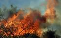 Υπό μερικό έλεγχο τέθηκε η πυρκαγιά στη Λεμεσό
