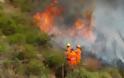 Στα κρατητήρια ο 57χρονος που καψάλιζε χόρτα από τα οποία άρχισε η πυρκαγιά στην Ορεινή Λάρνακα
