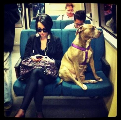 Δείτε στις ΦΩΤΟ τους πιο αγενείς επιβάτες του Μετρό - Φωτογραφία 2