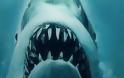 Jaws: Διαθέσιμο σε Βlu-Ray [video]