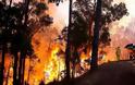 ΠΡΙΝ ΛΙΓΟ: Φωτιά στη Λακωνία