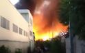 ΒΟΤΑΝΙΚΟσ: Φωτιά με εγκλωβισμένους, έφτασε η πυροσβεστική