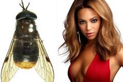 ΔΕΙΤΕ ΕΙΝΑΙ ΞΕΚΑΡΔΙΣΤΙΚΟ: Οι επιστήμονες σε... μεγάλα κέφια