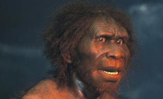 Homo erectus: Ο κατακτητής της Γης - Φωτογραφία 1