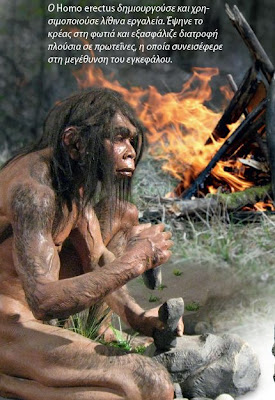 Homo erectus: Ο κατακτητής της Γης - Φωτογραφία 2