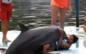 VIDEO: Δελφίνι προσγειώθηκε... στα πόδια της