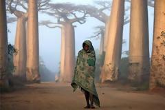 ΔΕΙΤΕ:  Αυτές είναι οι καλύτερες φωτογραφίες της χρονιάς!