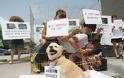 Ν.Κορέα: Τρώνε σκυλιά για να αντέξουν τη ζέστη?!!