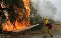 Ενισχύονται οι δυνάμεις για τη φωτιά στη Χίο