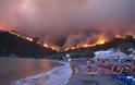 Συγκλονιστικές φωτογραφίες από τις πυρκαγιές που κατακαίνε την Χίο - Φωτογραφία 3