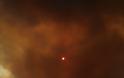 Συγκλονιστικές φωτογραφίες από τις πυρκαγιές που κατακαίνε την Χίο - Φωτογραφία 4