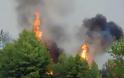 Kαίγονται δέντρα στα Καλύβια Θορικού Αττικής