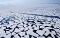 Μέσα στα επόμενα 10 χρόνια η Αρκτική δεν θα είναι παγωμένη!