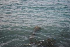 Καρέτα καρέτα μέσα στην βρωμιά στη Σκόπελο!