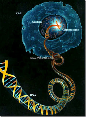Ξεχάστε τις 12 Αλυσίδες του DNA! - Φωτογραφία 3