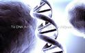 Ξεχάστε τις 12 Αλυσίδες του DNA! - Φωτογραφία 1