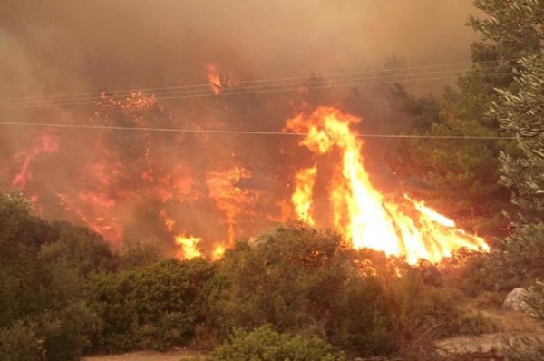 Σε πύρινο κλοιό η μισή Ελλάδα - Συνεχίζουν να καίνε 14 μέτωπα!!! - Φωτογραφία 5