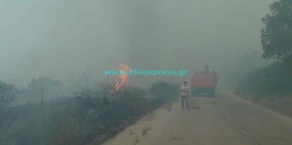 Σε πύρινο κλοιό η μισή Ελλάδα - Συνεχίζουν να καίνε 14 μέτωπα!!! - Φωτογραφία 6