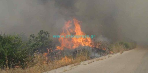 Σε πύρινο κλοιό η μισή Ελλάδα - Συνεχίζουν να καίνε 14 μέτωπα!!! - Φωτογραφία 7