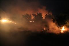 Σε πύρινο κλοιό η μισή Ελλάδα - Συνεχίζουν να καίνε 14 μέτωπα!!!