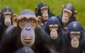 Θέλετε να μάθετε την αλήθεια για τις μαϊμού συντάξεις;