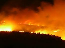 Μαίνεται η πυρκαγιά στο Βορειοανατολικό Πήλιο - Ολονύκτια μάχη με τις φλόγες - Φωτογραφία 1