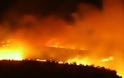 Μαίνεται η πυρκαγιά στο Βορειοανατολικό Πήλιο - Ολονύκτια μάχη με τις φλόγες