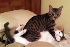 ΔΕΙΤΕ: Πιάστηκαν... στα πράσα!