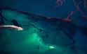 Τραγική ομορφιά: η καταστροφή στον Κόλπο του Μεξικού από ψηλά - Φωτογραφία 3