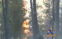 Βίντεο από τη φωτιά στο Αφράτο Παραβόλας