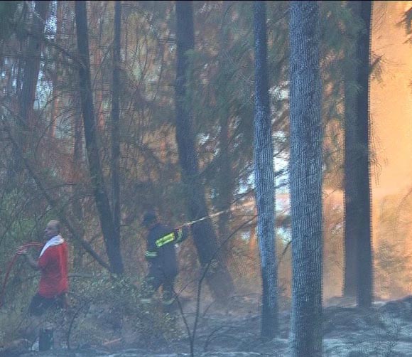 ΔΕΙΤΕ: Φωτιά σε Παραβόλα και Αφρατό - Φωτογραφία 3