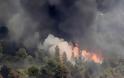 Πάτρα-τώρα: Φωτιά σε πευκοδάσος στην Καρυά