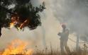 Υπό μερικό έλεγχο οι πυρκαγιές σε Μαγνησία και Μεσσηνία