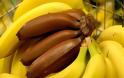 Κόκκινες μπανάνες: Άλλο φρούτο! - Φωτογραφία 4