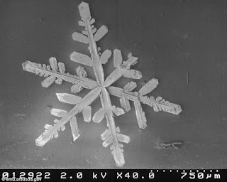 ΣΠΑΝΙΕΣ ΕΙΚΟΝΕΣ - Οι χιονονιφάδες στο μικροσκόπιο - Φωτογραφία 17