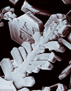 ΣΠΑΝΙΕΣ ΕΙΚΟΝΕΣ - Οι χιονονιφάδες στο μικροσκόπιο - Φωτογραφία 19