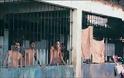 Ξέσπασμα βίας στις φυλακές Βενεζουέλας - 25 νεκροί