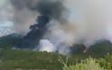 Eλέγχεται η μεγάλη φωτιά στην Παραβόλα Αγρινίου