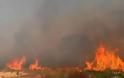 Πυρκαγιά έκαψε 60 στρέμματα στην Ξάνθη!